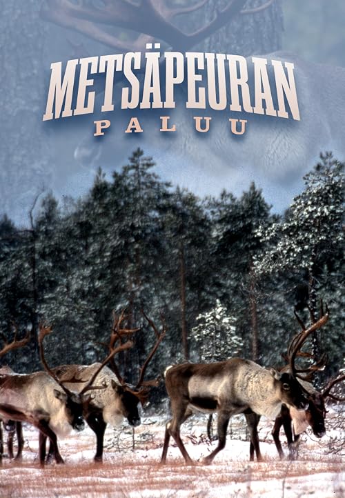 Metsäpeuran paluu