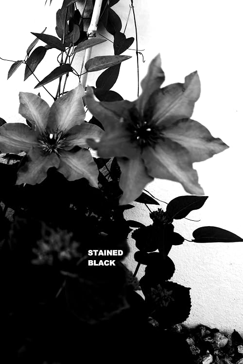 Stained Black