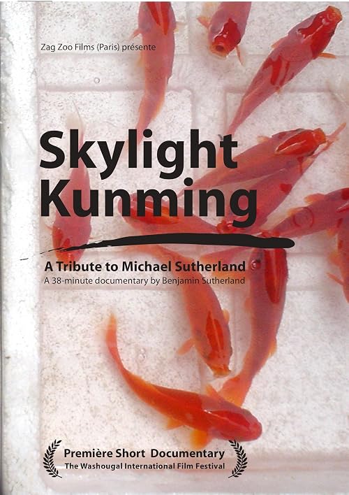 Skylight Kunming