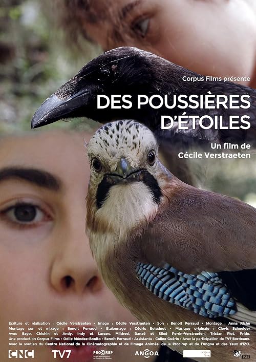 Des poussières d'étoiles
