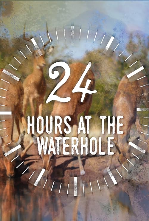 24 Hours at the Waterhole