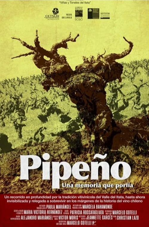 Pipeño, una memoria que porfía