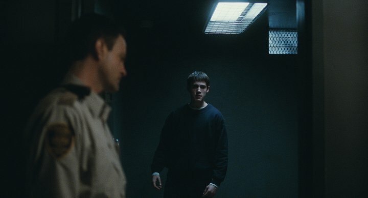 Загон для собак — кадр 5