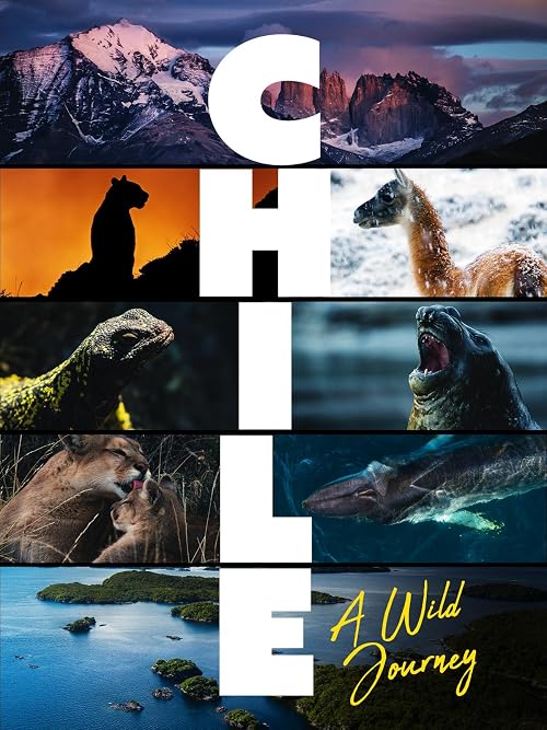 Chile: A Wild Journey