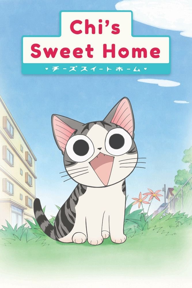 Kleine Katze Chi