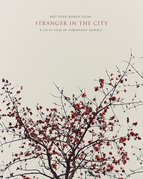 Stranger in the City