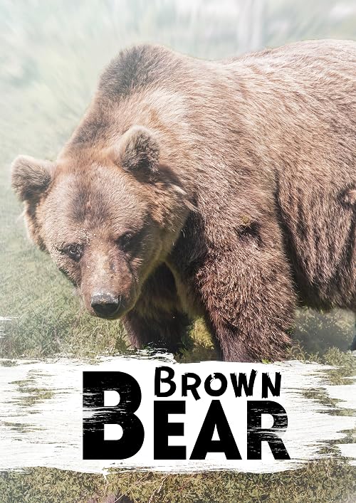 In the Shadow of Extinction: The Himalayan Brown Bear