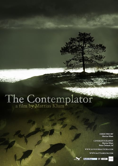 The Contemplator