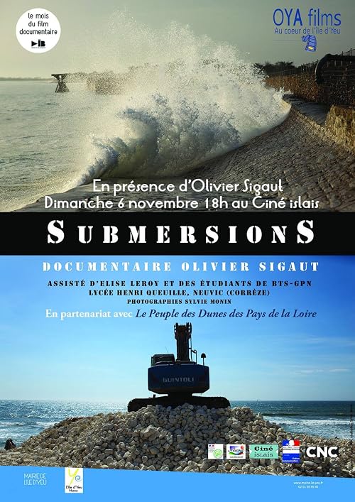 Submersion(s)