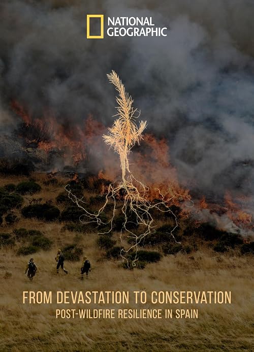 From Devastation to Conservation