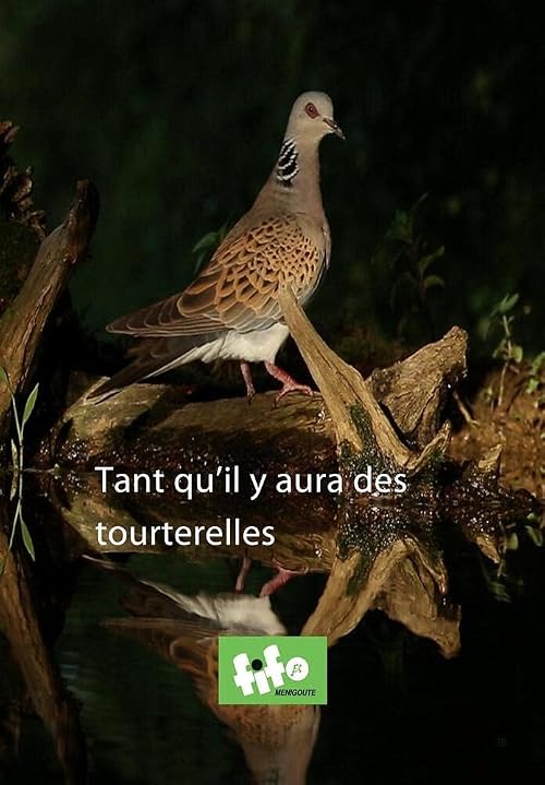 Tant qu'il y aura des tourterelles