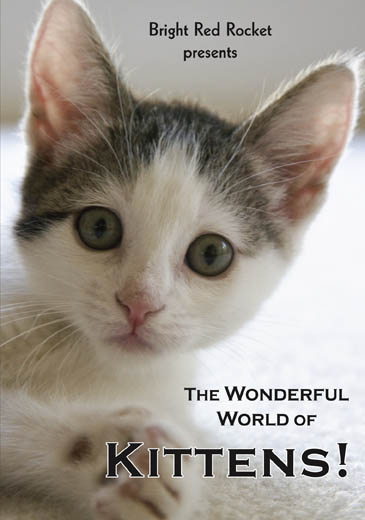 The Wonderful World of Kittens