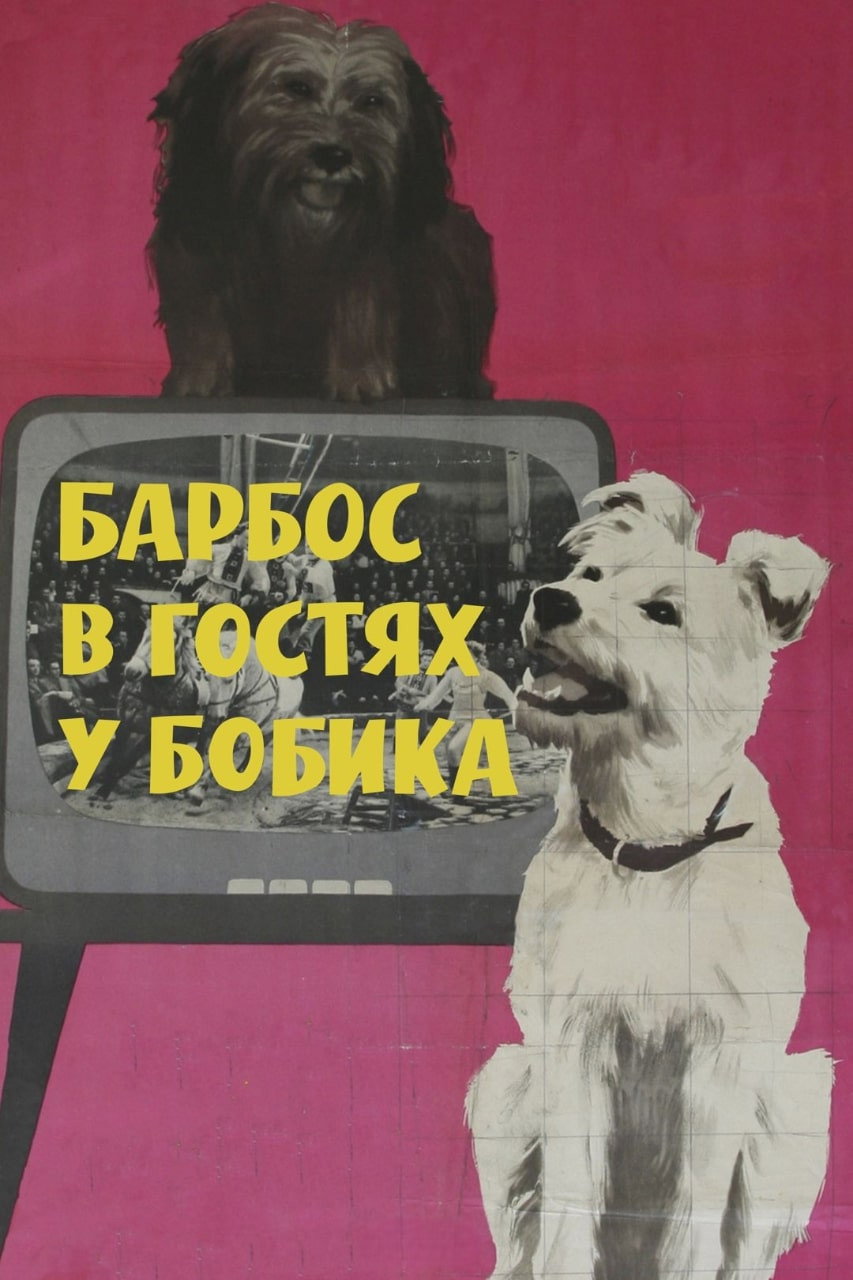 Барбос в гостях у Бобика