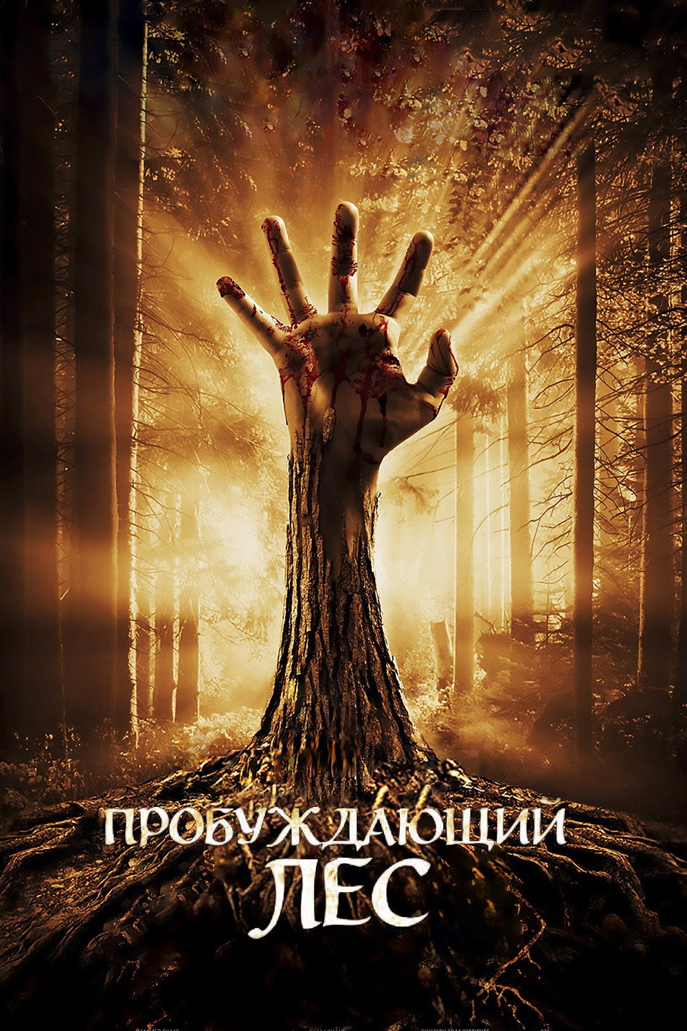 Пробуждающийся лес