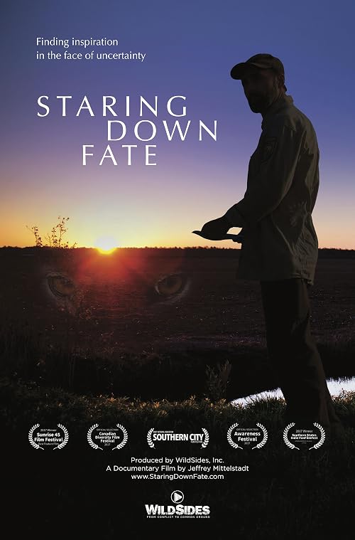 Staring Down Fate