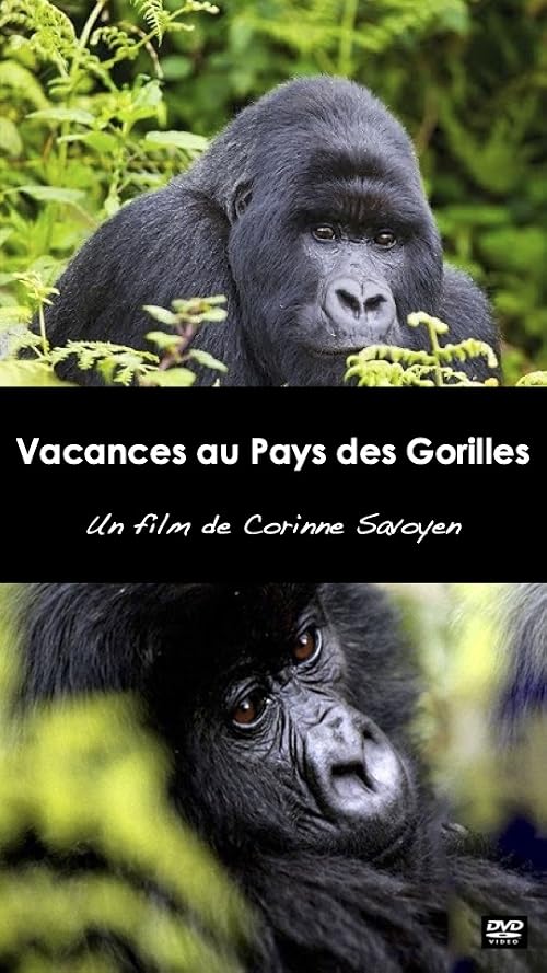 Vacances au pays des gorilles