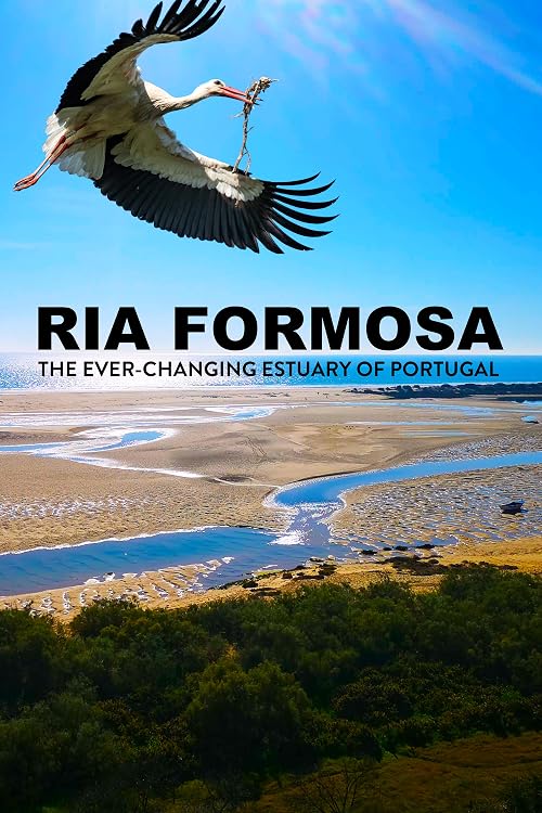 Ria Formosa: The Ever-Changing Estuary of Portugal