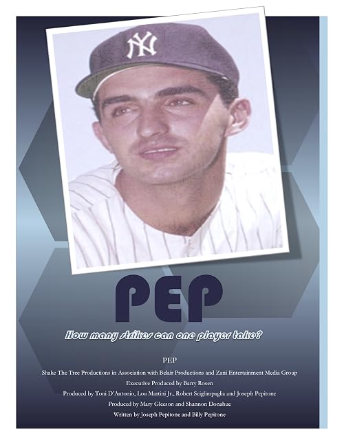 Untitled Joe Pepitone Project