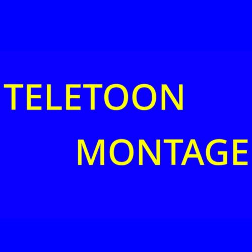 Teletoon Montage