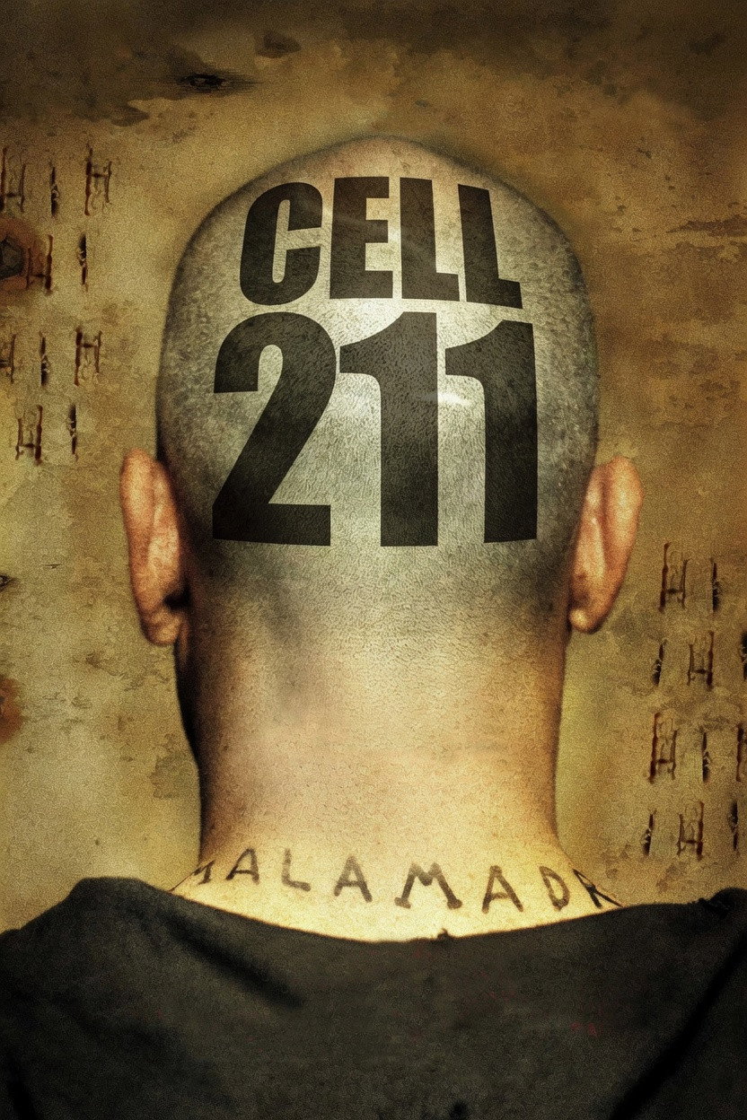 Cell 211