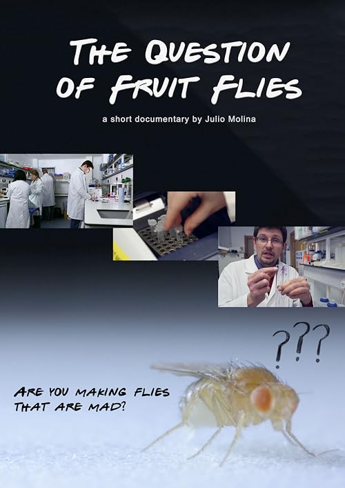 The Question of Fruit Flies