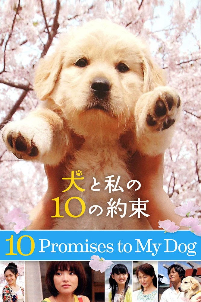 Inu to watashi no 10 no yakusoku