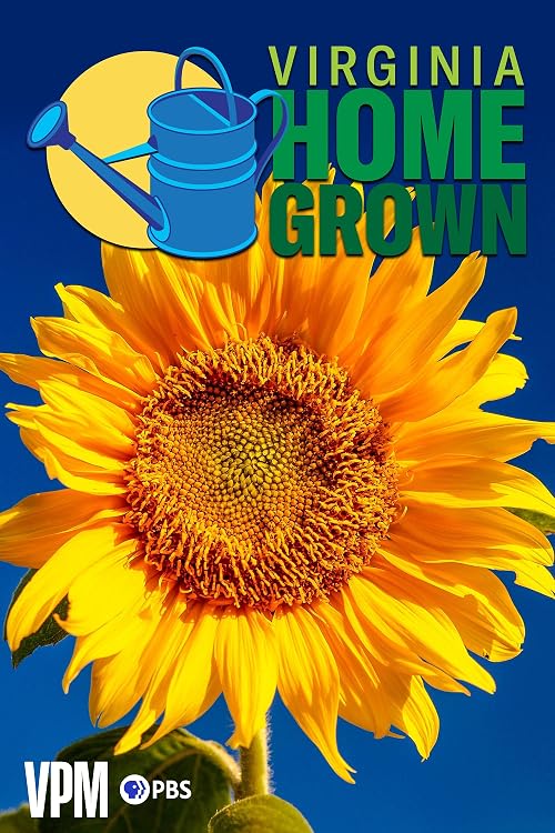 Virginia Home Grown