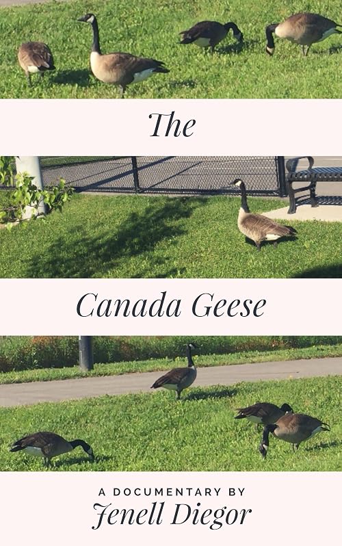 The Canada Geese