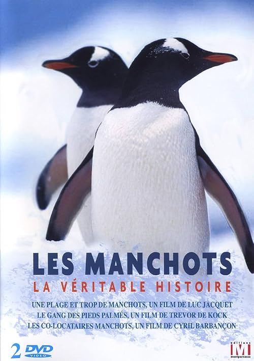 Les manchots - La véritable histoire
