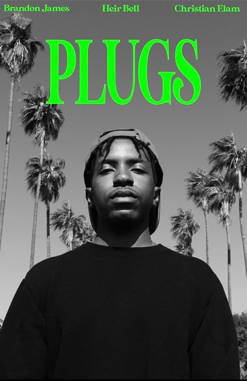 Plugs