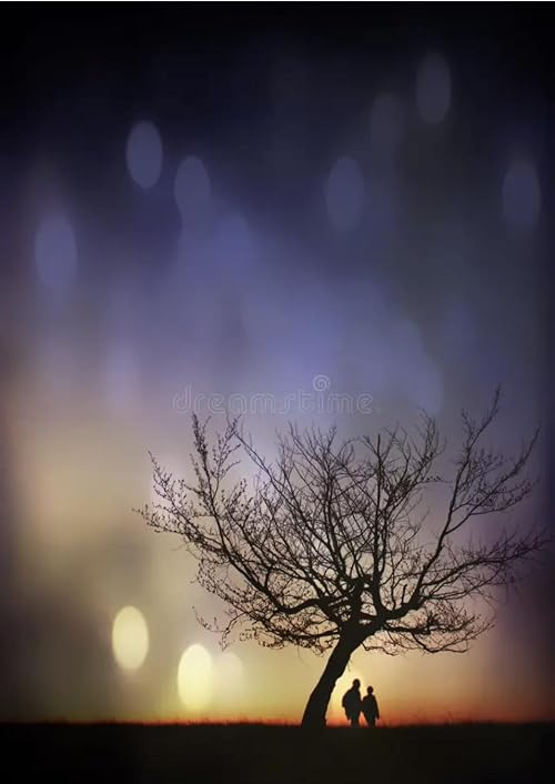 Where the Light Starts