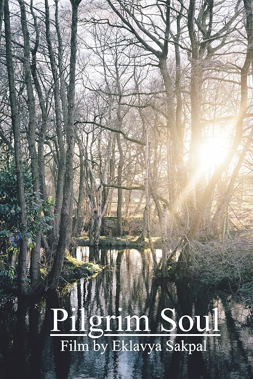 Pilgrim Soul