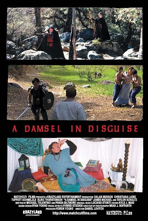 A Damsel in Disguise