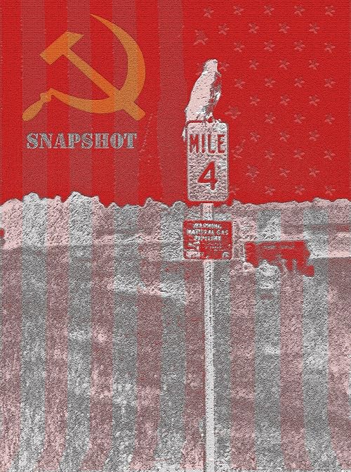 SnapShot