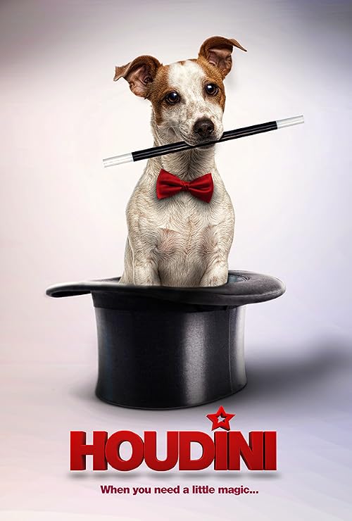 Houdini