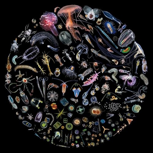 The Plankton Chronicles