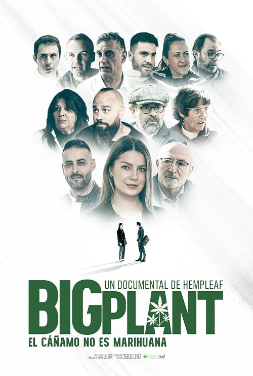 Big Plant