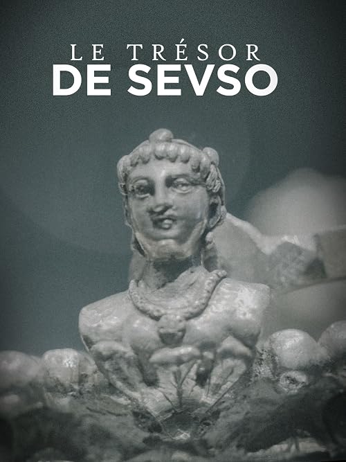 L'Odyssée d'un Trésor: Le Trésor de Sevso