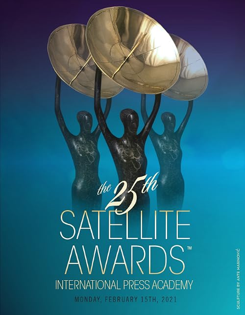 The 25th Satellite Awards