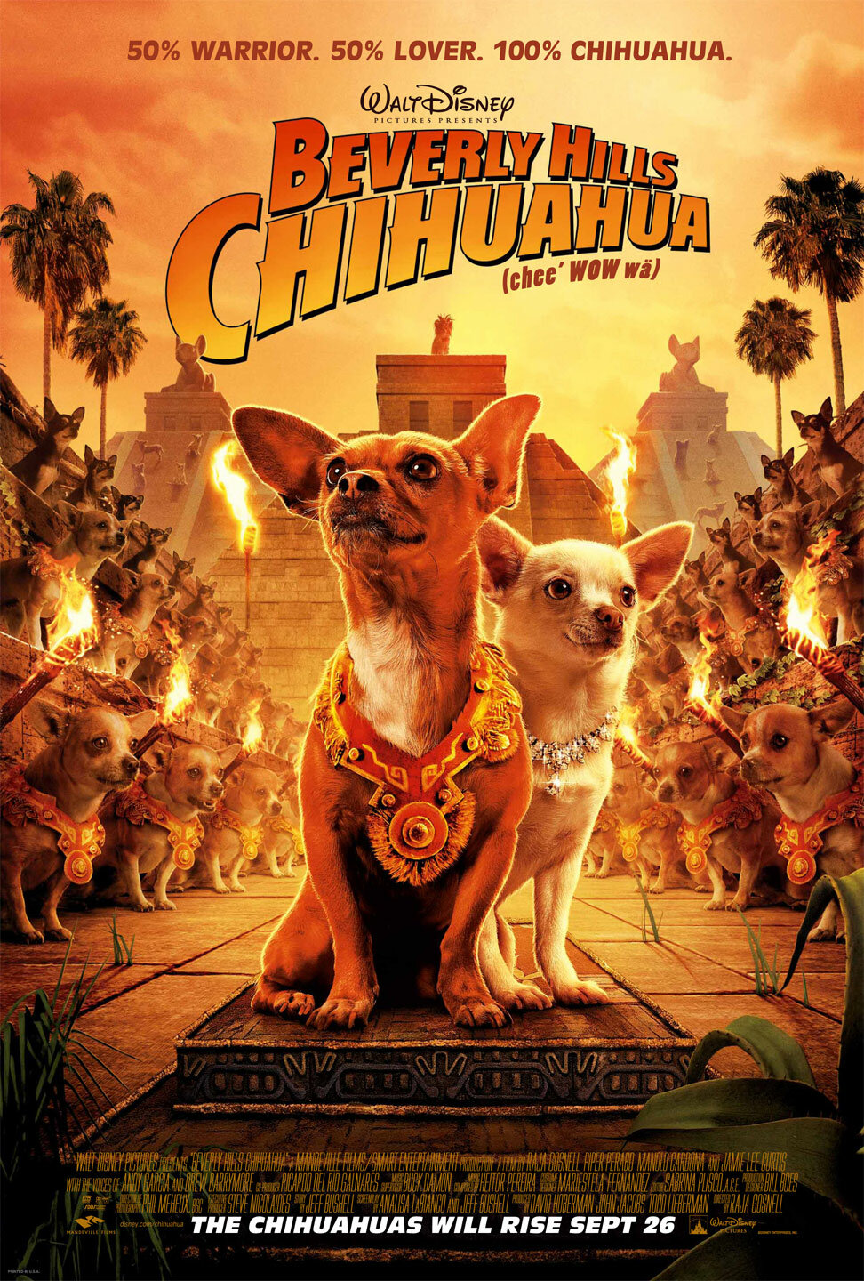 Un chihuahua en Beverly Hills