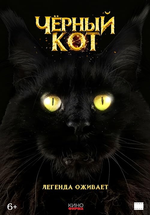 Чёрный кот