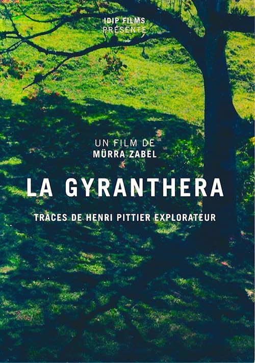 La Gyranthera - Traces d'Henri Pittier explorateur