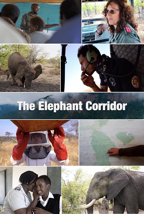 The Elephant Corridor