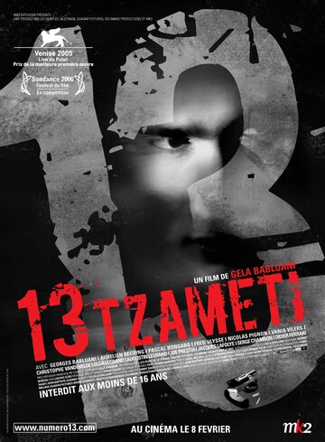 13 זאמטי