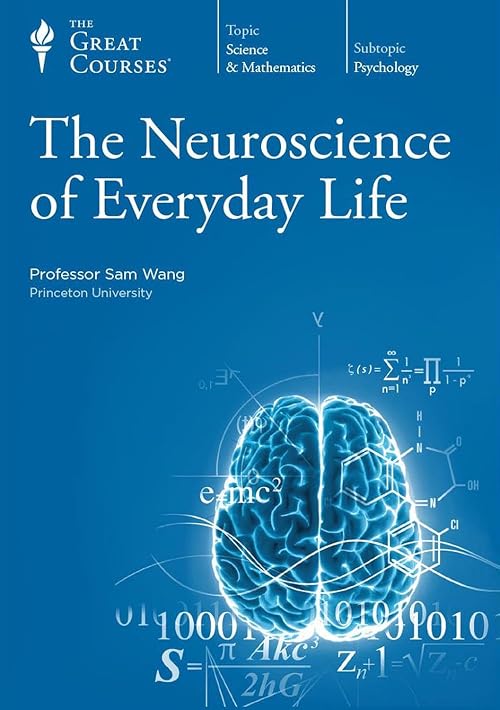 The Neuroscience of Everyday Life