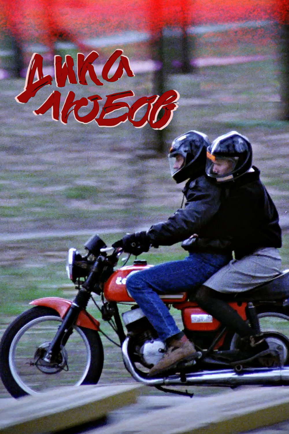 Дика любов