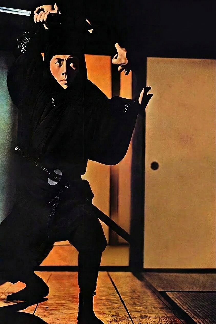 Shinobi no mono