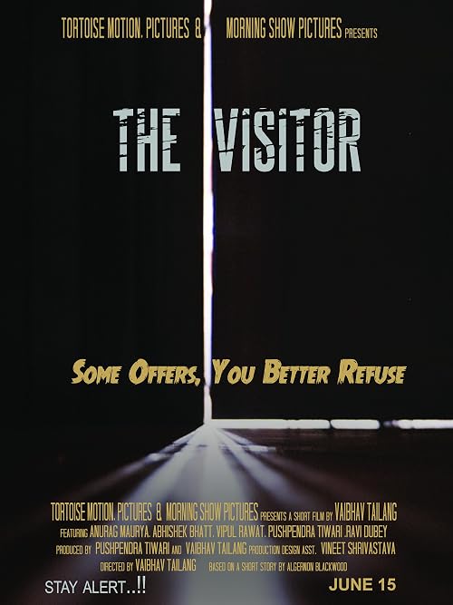 The Visitor