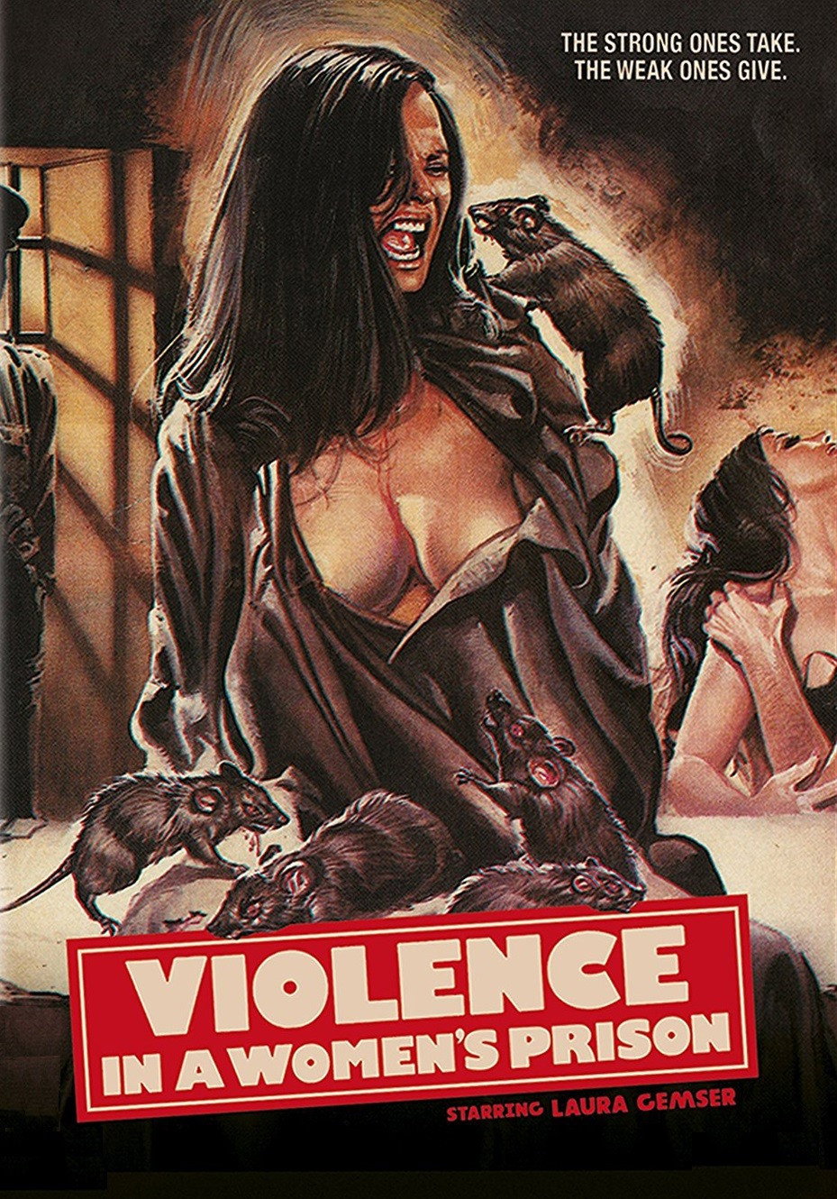 Violence in a Women's Prison