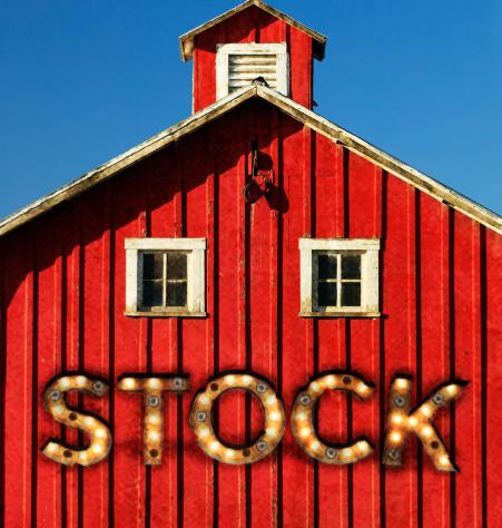 Stock